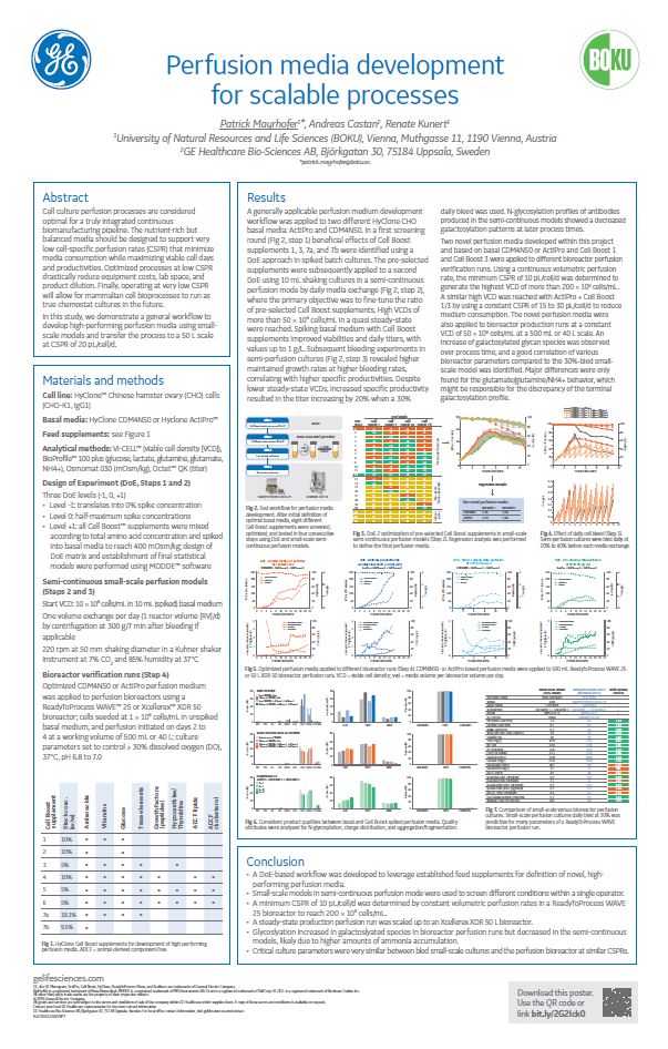 Perfusion media development for scalable processes