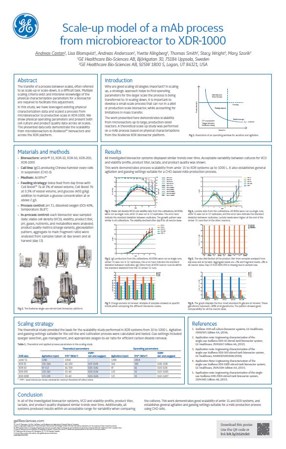 Scale-up model of a mAb process from microbioreactor to XDR-1000