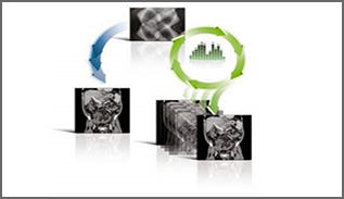 radiationContainer image