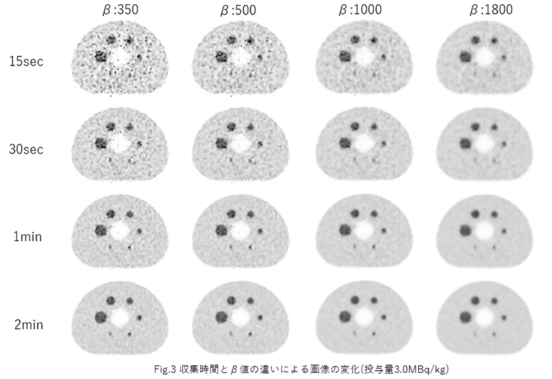DMI_Shiga_03.png