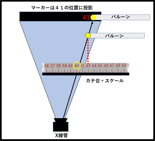 IGS630_Fukaya_06.jpg