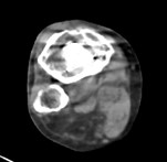 NMCT870DR_Kumamotoshinto031.jpg