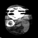 NMCT870DR_Kumamotoshinto032.jpg