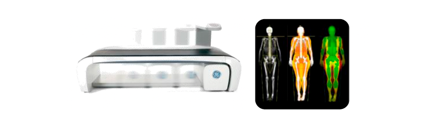 Analisi cmposizione corporea