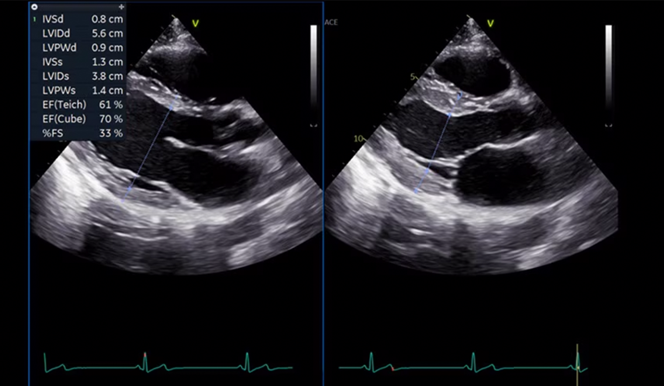 clinical-image