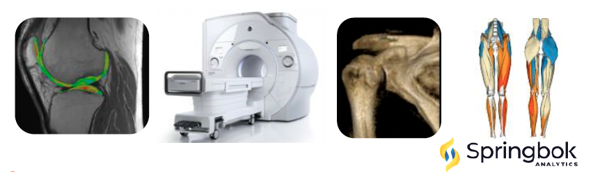 Analisi tessuti e ossa